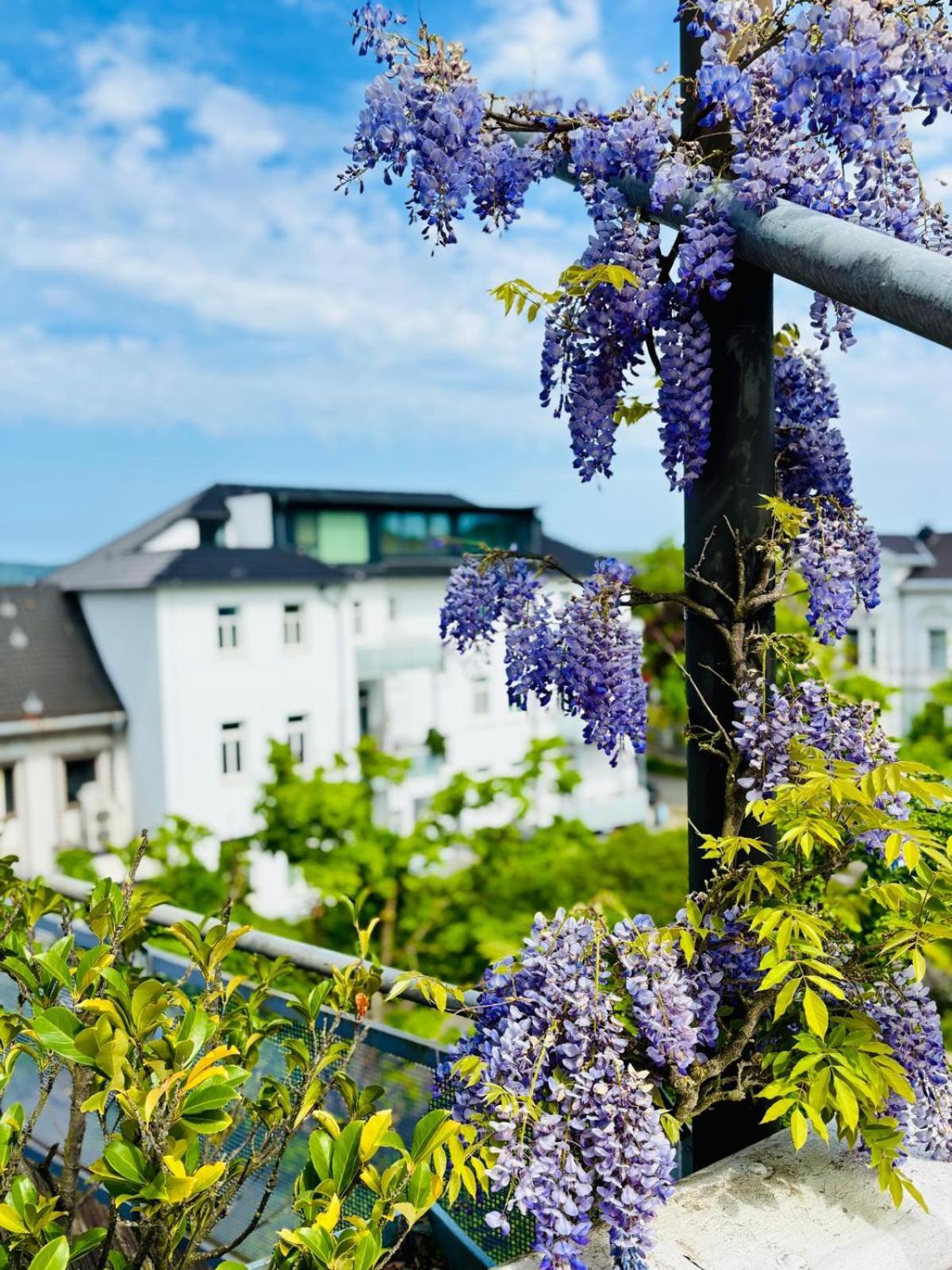 Pension Am Sueltebrunnen Bad Oeynhausen Exteriör bild